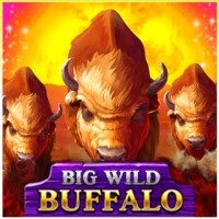 Logo of Big Wild Buffalo from Belatra Games at Nitrobet Casino